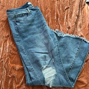 Lane Bryant flare jeans